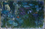  Water Lilies